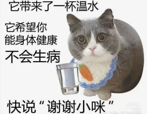 C/C++，Python 国外大学课程与实...