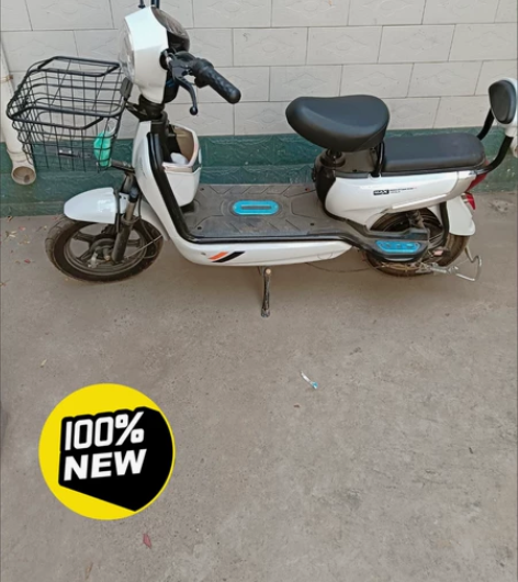 【清仓】全新电动车 全新款电动车低价出售 ...