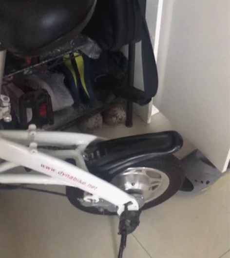 转让闲置的戴乐牌折叠轻便电动车，原价280...