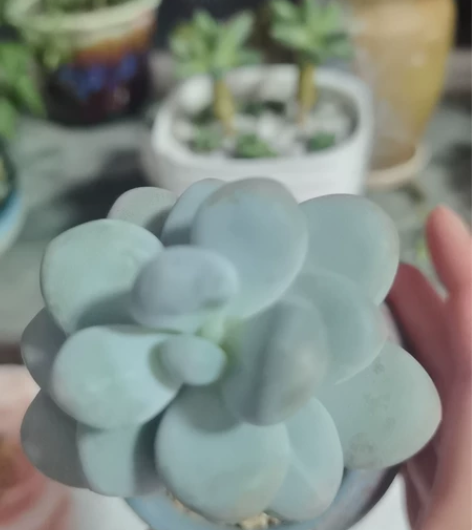 乒乓球吧 感兴趣的话点“我想要”和我私聊吧...