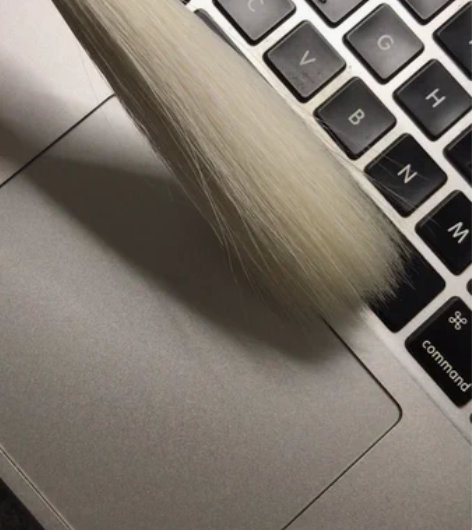 金鼎 苏州湖笔 齐锋笔红木杆 牛角斗顶,有...
