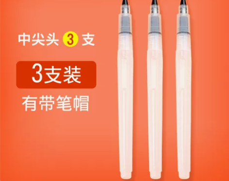 全新共11只 10元不包邮 自来水笔套装初...
