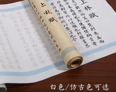 上林赋长卷硬笔5米长卷全篇卷轴钢笔小楷毛笔...