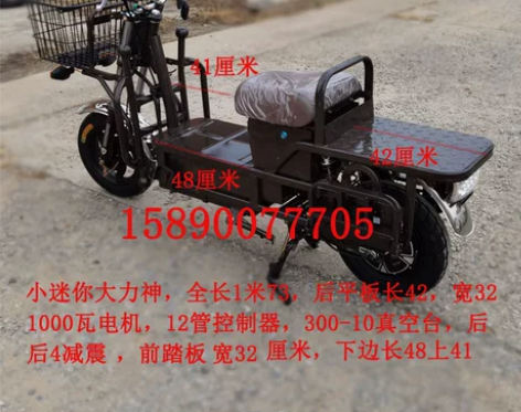 载重王大力神电瓶电动车拉货外卖72伏60伏...