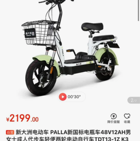 新大洲电动车 ~ PALLA新国标电瓶车 ...