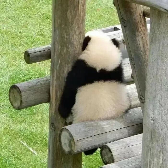 科龙空调1P 转手 明天了更新图