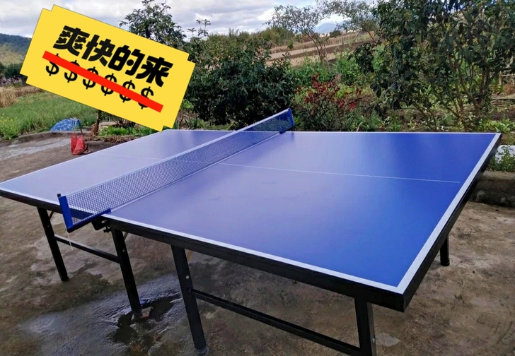 包邮标准乒乓球桌可折叠乒乓球台案子室内室外...