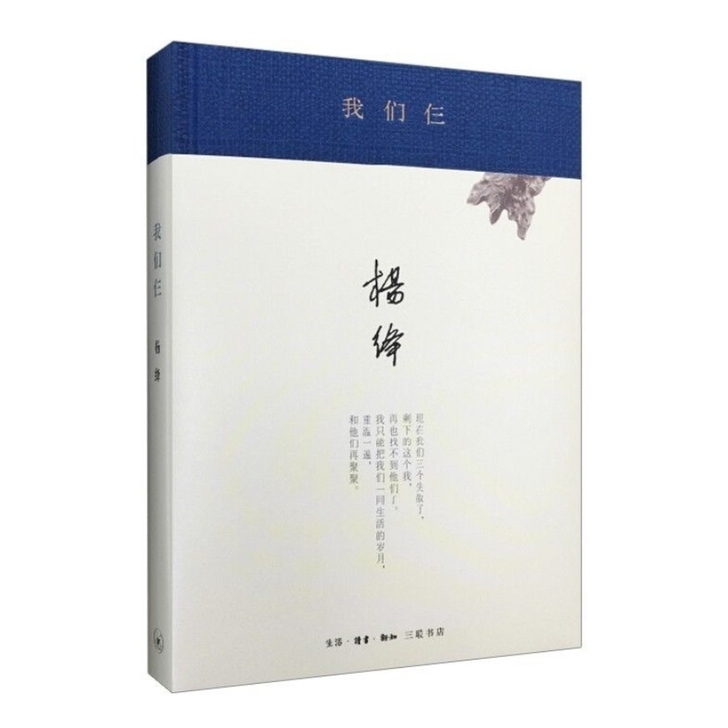 杨绛我们仨(精装) 将饮茶 中国现当代文学...