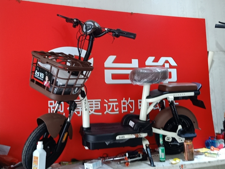 台铃电动车 全新车 正规车店售后无忧 ...