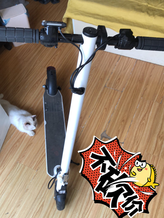 闲置出售，自己骑了一个多月，搬家以后，就没...