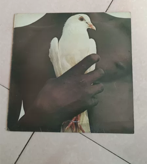 老唱片  绿色韩版圣   经   其他台版...