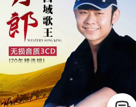 刀郎cd专辑刀郎车载cd专辑正版民歌经典老...