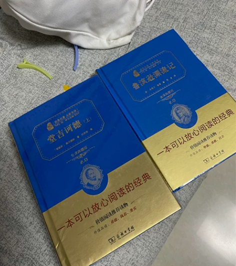 鲁滨逊漂流记 堂吉诃德(套装全2册) 一起...