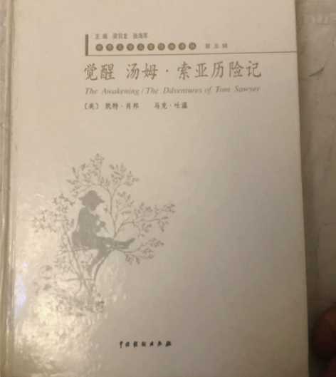 觉醒汤姆索亚历险记 感兴趣的话点“我想要”...