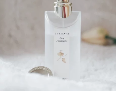 ?Bvlgari宝格丽白茶茗珍古龙持久清新...