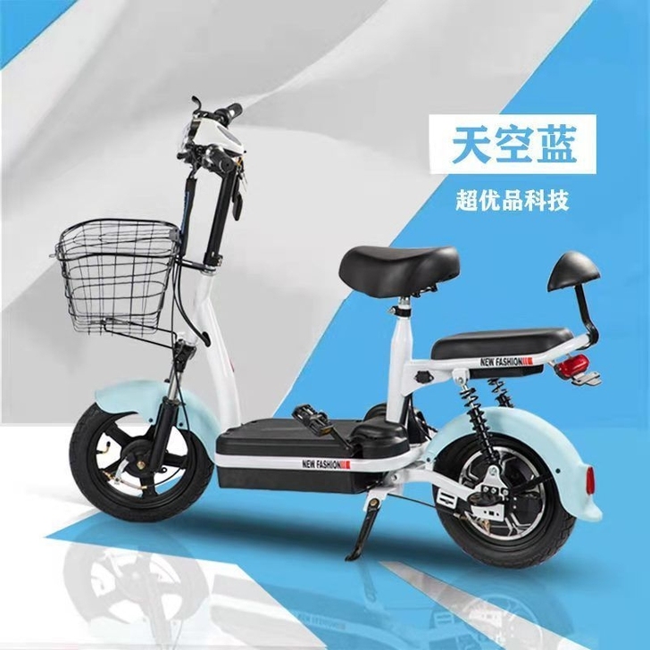 电动车新国标电瓶48伏小型代步助力电单车可...