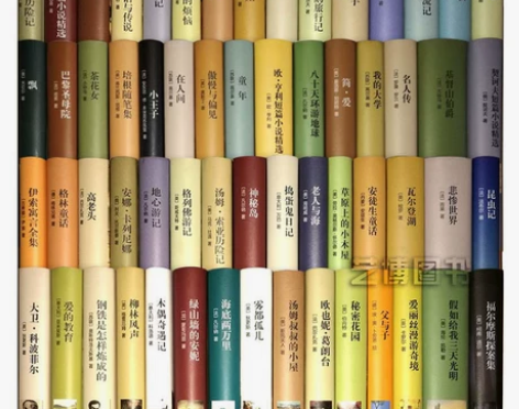 呼啸山庄 悲惨世界呼啸山庄世界名著全套10...