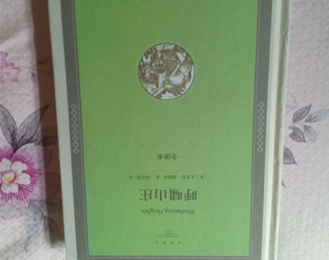 呼啸山庄看完了很好看 感兴趣的话点“我想要...