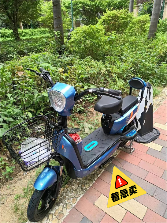 紧急出售一批全新新国标3C电动车48v伏新...