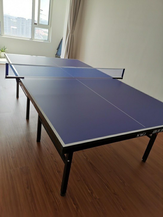 可折叠国标尺寸！全新乒乓球桌球台成人室内标...