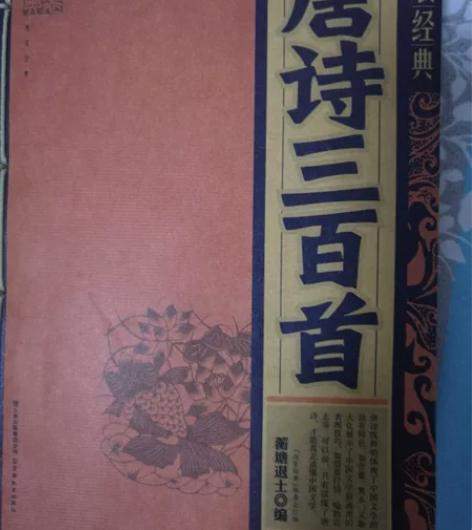 唐诗三百首,9.9成新,一口价20元,学生...