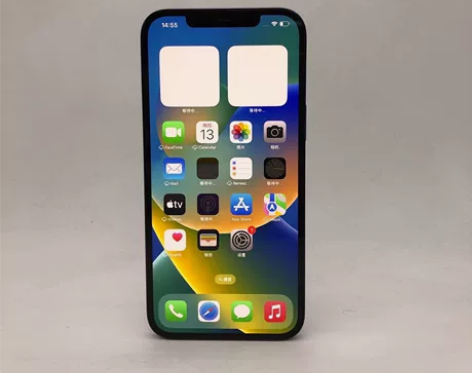 Apple/苹果 iPhone 12 Pr...