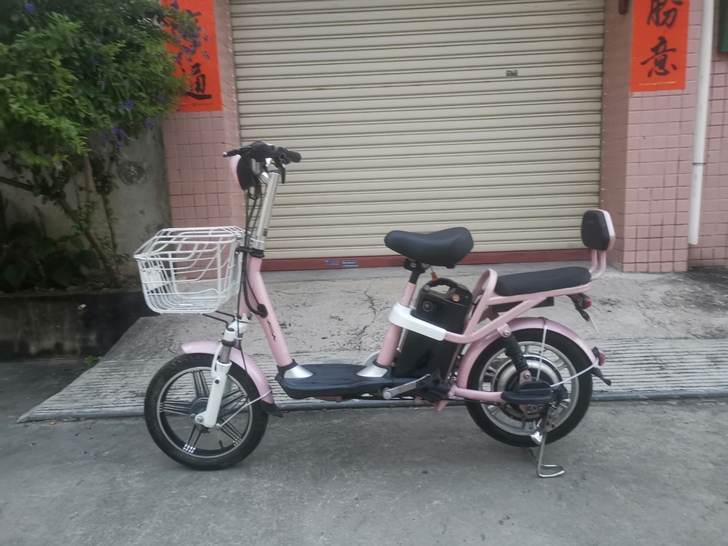 48v爱玛电动车