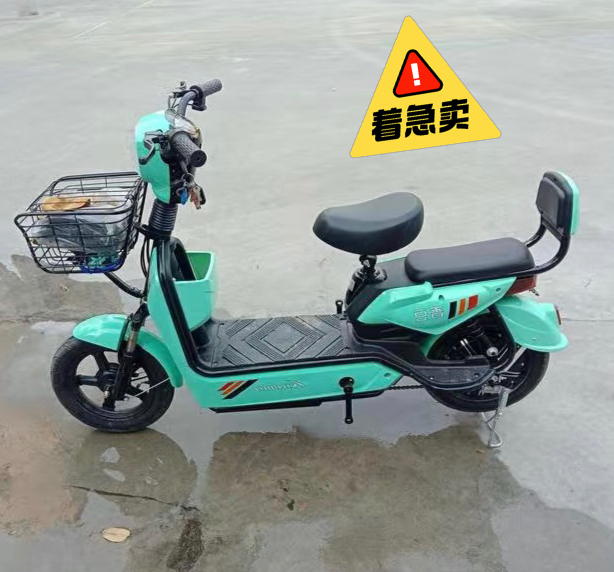 【实体倒闭低价清仓】电动车小型车新国标电动...
