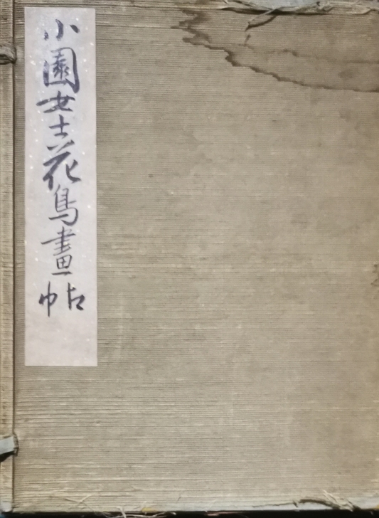 这是一本手绘老册页而且还非常少见