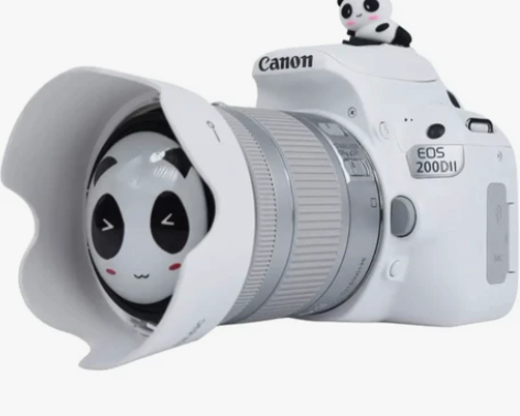 全新纯个人专卖。全新佳能EOS 200D二...