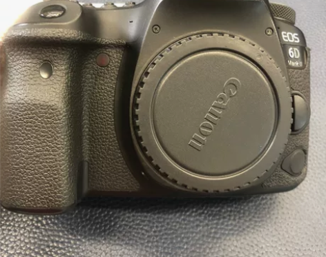 佳能 EOS 6D Mark II机身(1...