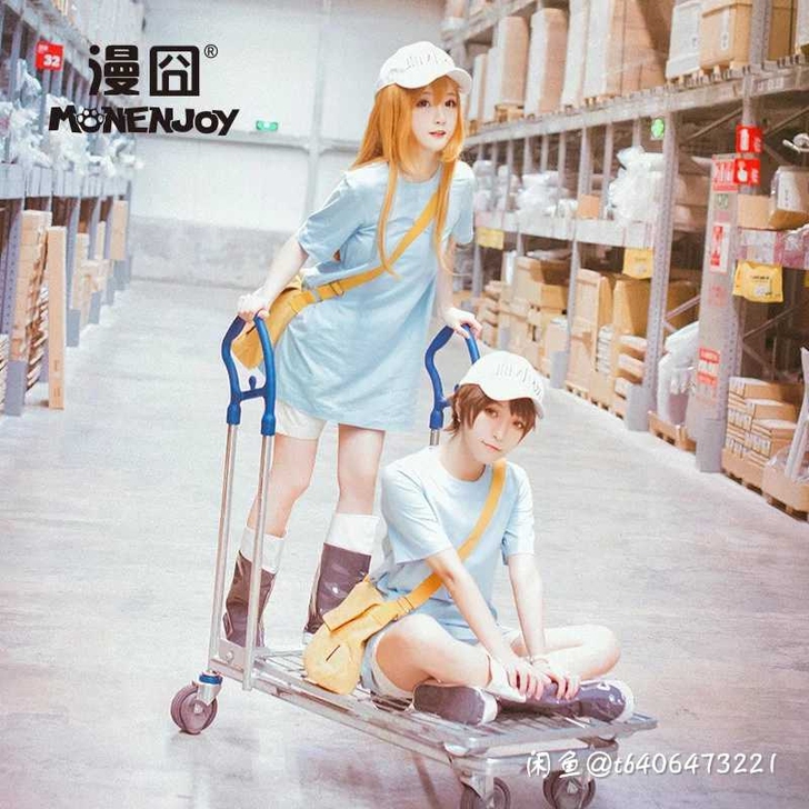 工作细胞血小板cos
