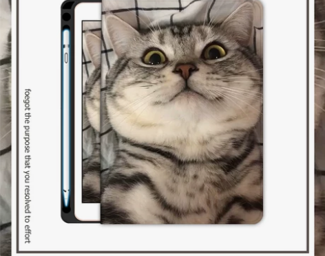搞怪猫咪萌2020/19/18新款ipad...