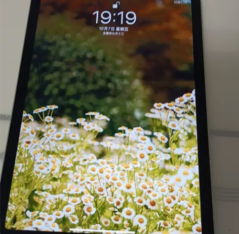 ipad air 4 绿色256G wif...