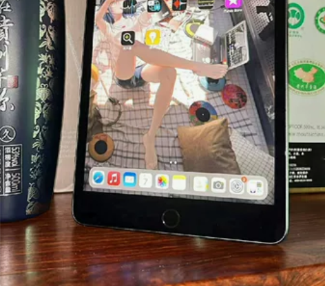 自用iPad  mini5WIFI版64g...