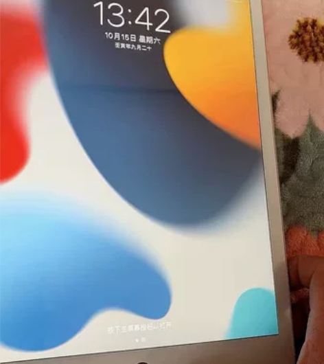 Apple/苹果2019新款iPad 二手...