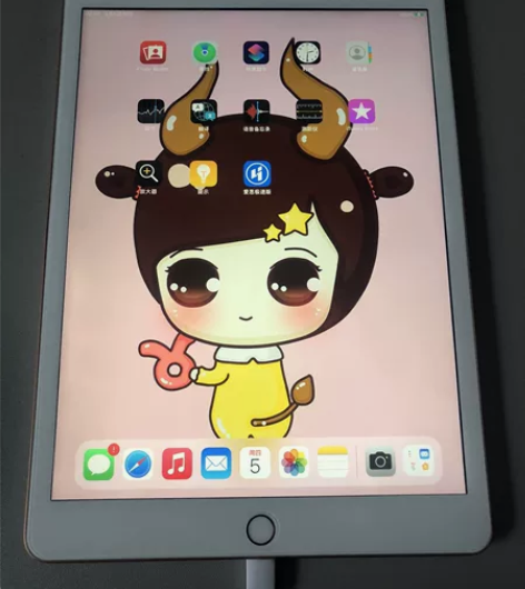 iPad（2019）插卡wife128g扩...