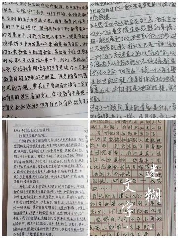 抄写 代抄 写字 手写 字帖