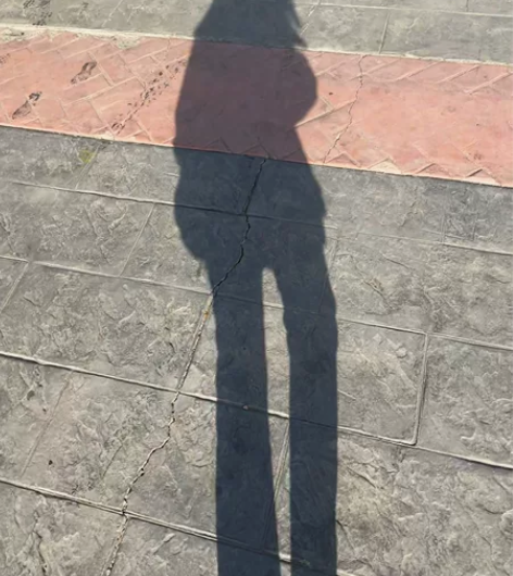 本人本科毕业于211大学 有耐心 有责任心...