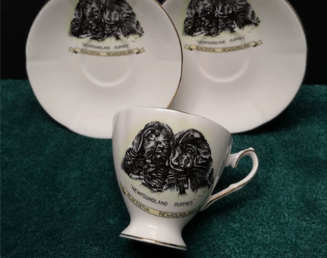 【中古英国】elizabethan 纽芬兰...