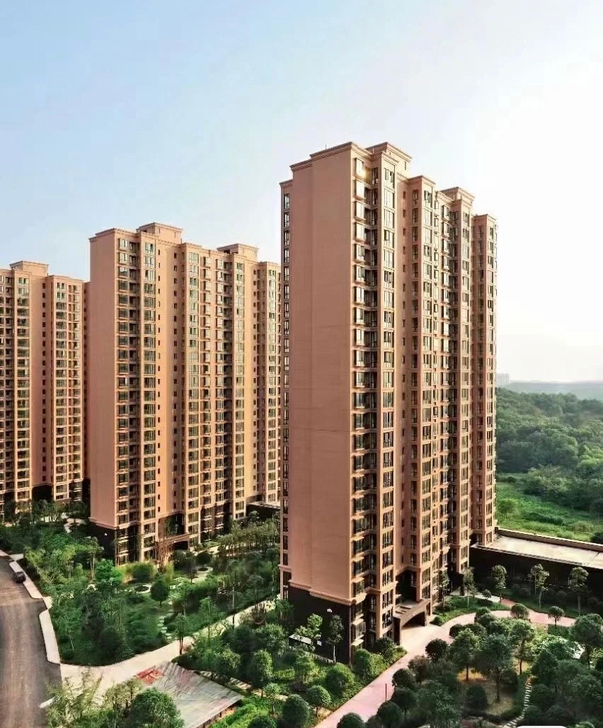 天心区 8字头 毛坯神盘 双学位