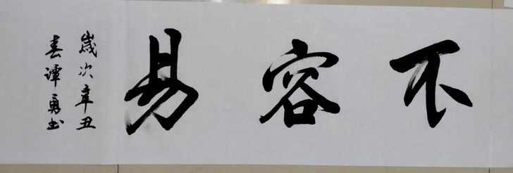 谭勇书法，不容易，全新