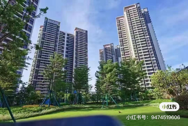 大旺国家高新区，麒麟湖CBD，保利的楼盘