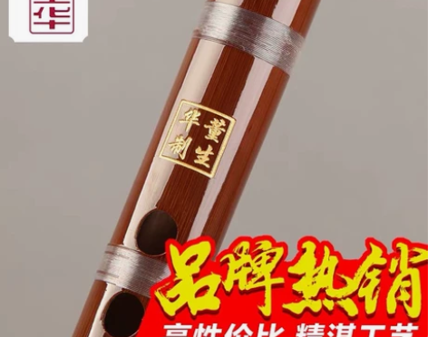 F调董生华笛子竹笛初学成人零基础入门学生F...