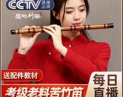 ?笛子零基础竹笛专业演奏级初学者精制乐器女...