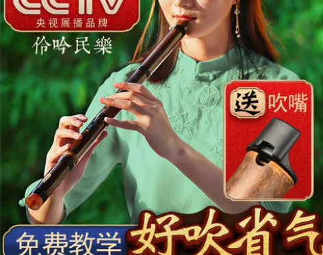 洞箫乐器初学入门专业高档F紫竹短箫六古风八...