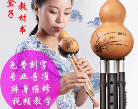 葫芦丝乐器初学者防摔c调小学生入门成人降b...