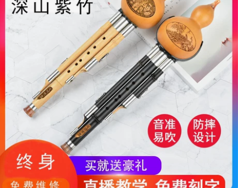 葫芦丝乐器初学者c调降b调儿童小学生入门专...