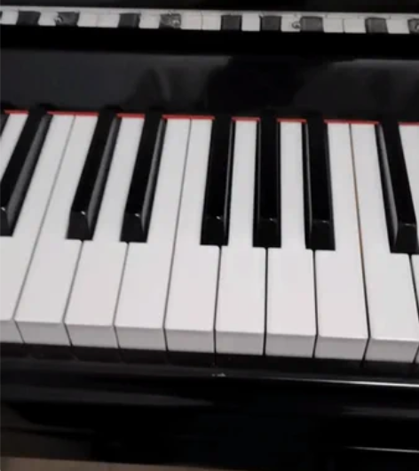 练习钢琴 对于刚学怕不能坚持的可以买回家练...