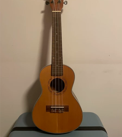 尤克里里 8成新 23寸，价格可议~ 尺寸...